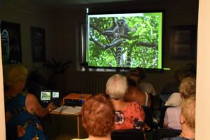 Prezentacja lemurów zamieszkujących Madagaskar