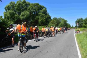 Peleton rajdowy ustawiony wzdłuż drogi Kolejowej w Niegowonicach